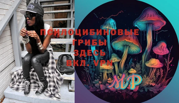 молекула духа Навашино