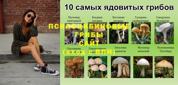 МДПВ Надым
