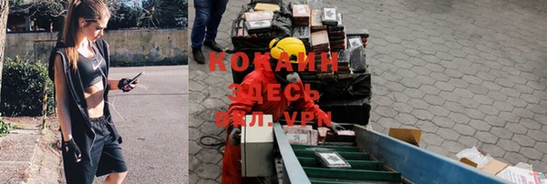 молекула духа Навашино
